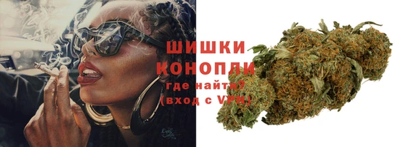 сатива Богданович