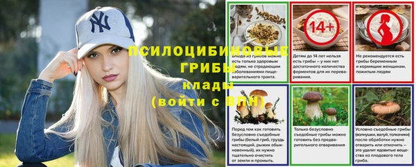 метамфетамин Белокуриха