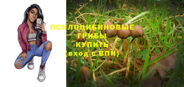 метамфетамин Белокуриха