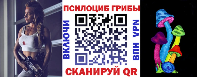 Галлюциногенные грибы Psilocybe  Очёр 