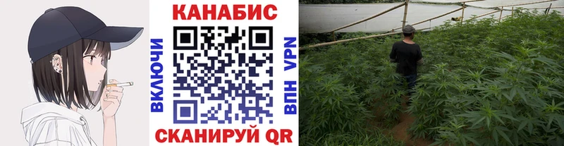 купить  цена  Очёр  Бошки марихуана THC 21% 